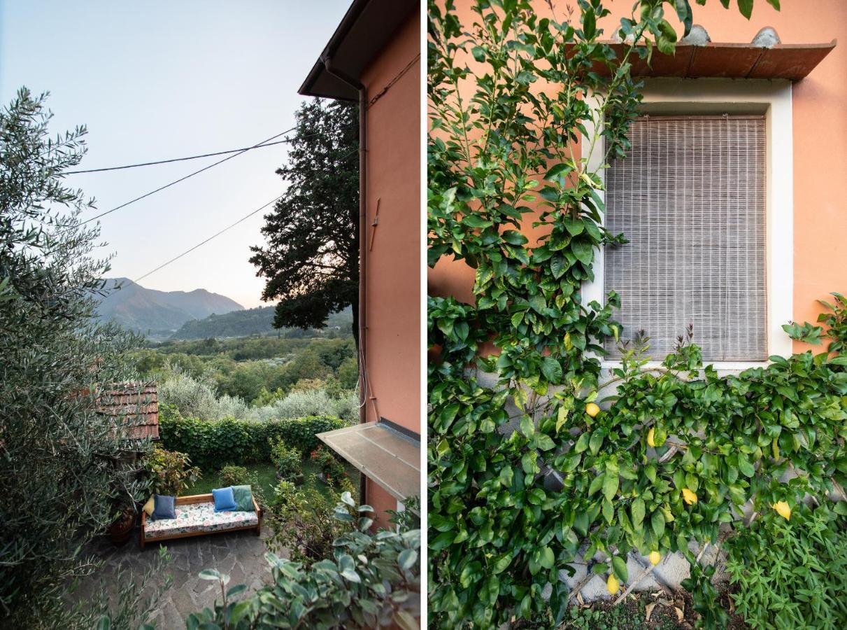 Casetta di Butia, Gelsomino Apartment Borgo a Mozzano Esterno foto