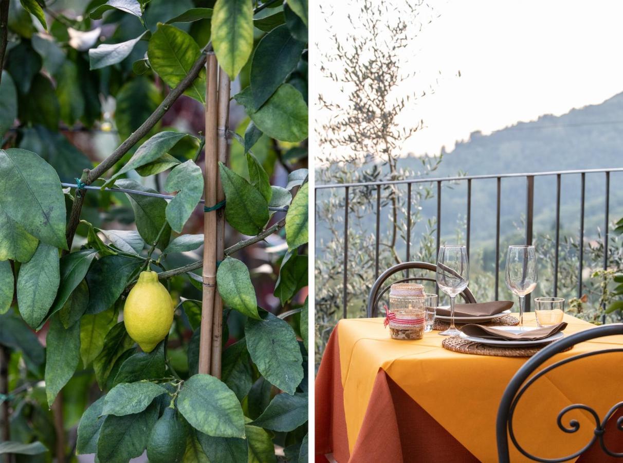 Casetta di Butia, Gelsomino Apartment Borgo a Mozzano Esterno foto