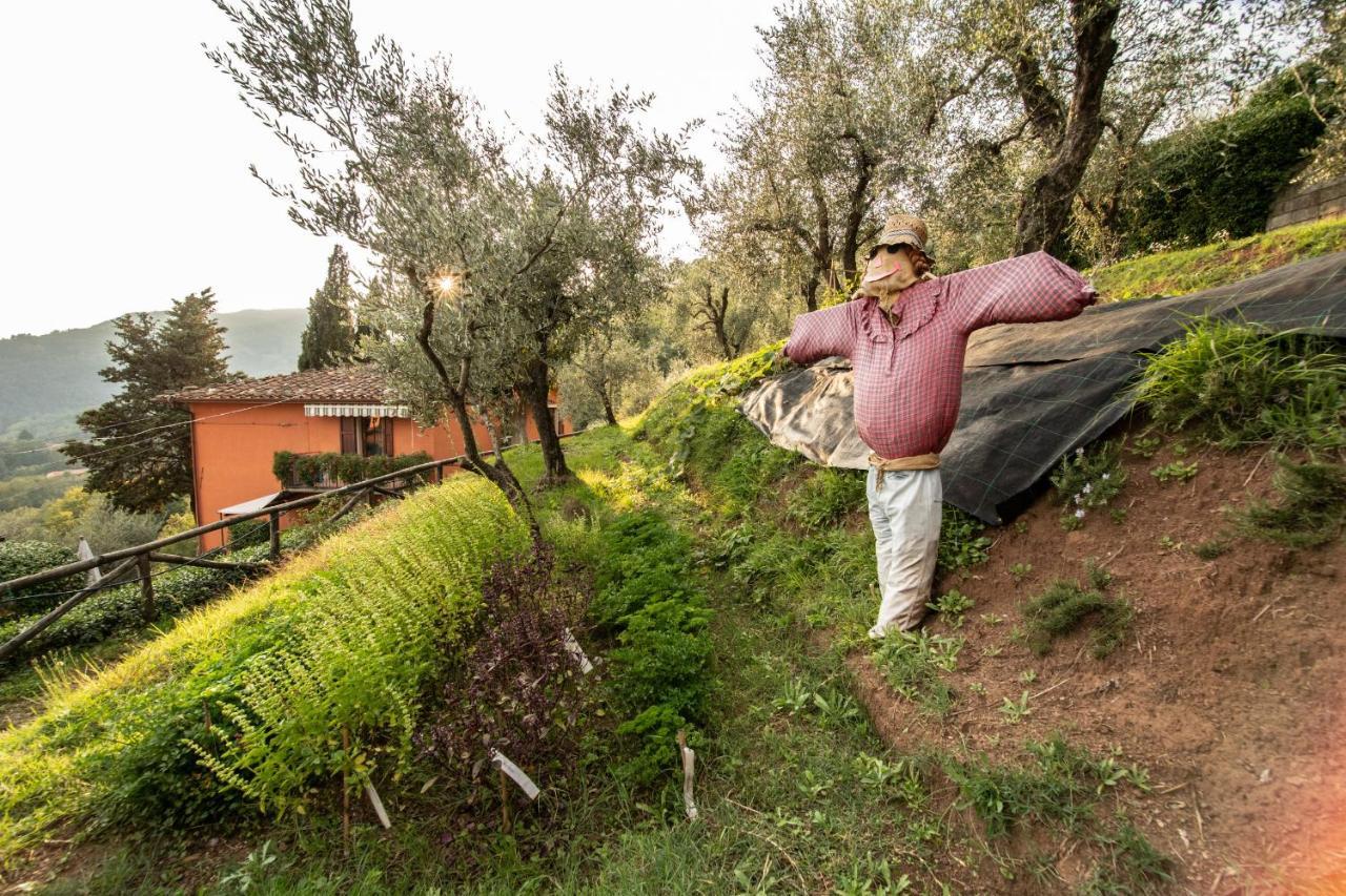 Casetta di Butia, Gelsomino Apartment Borgo a Mozzano Esterno foto