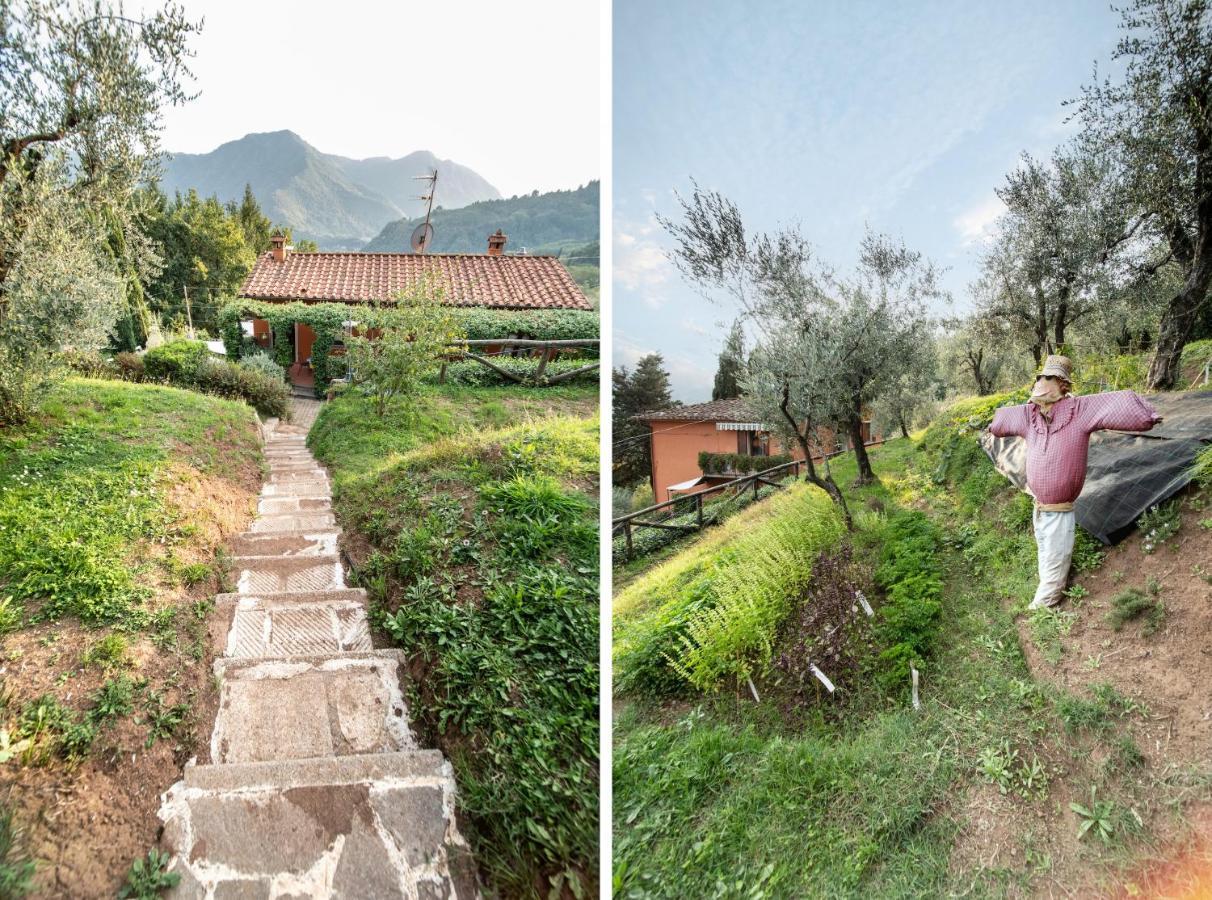 Casetta di Butia, Gelsomino Apartment Borgo a Mozzano Esterno foto